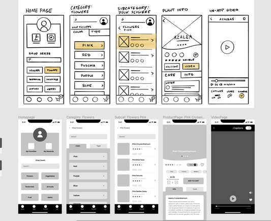 Wireframing Plus Package